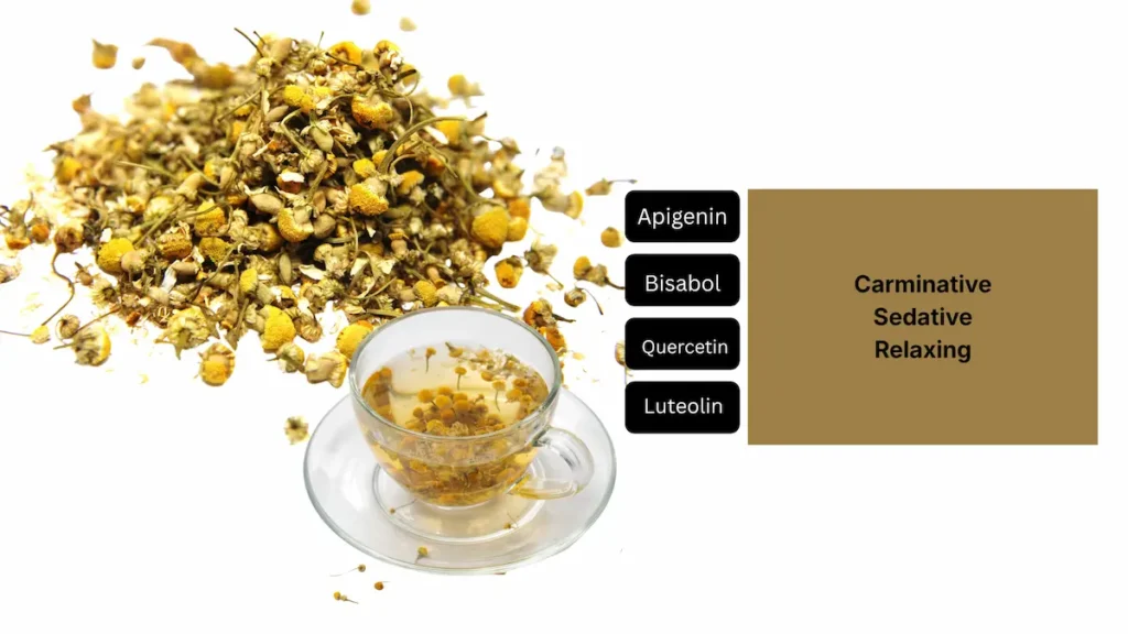 A clear tea cup of golden chamomile tea surrounded by dried chamomile flowers, with labels for apigenin, bisabolol, quercetin, and luteolin, and a panel noting carminative, sedative, and relaxing properties.