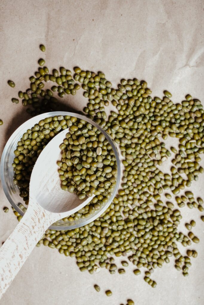 Mung bean 