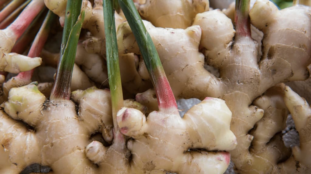 An illustrative image of ginger with roots