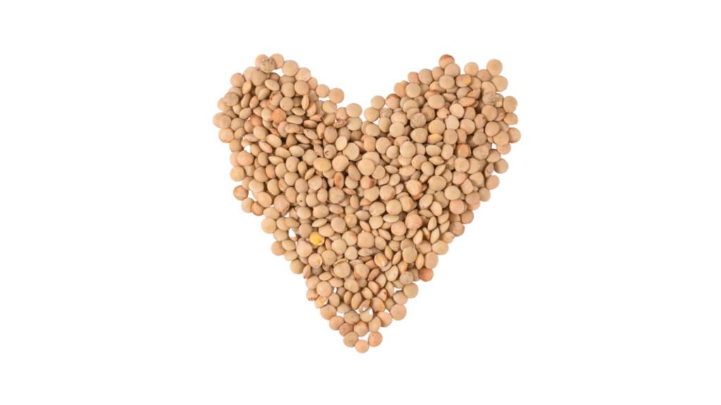 An illustrative image of a heart-shaped lentils 