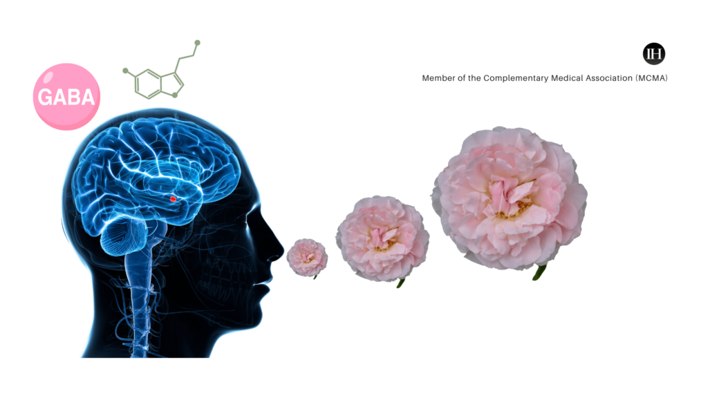 An image illustrating a 3D head inhaling the scent of damask rose, which influences anxiolytic effects by stimulating GABA and serotonin.