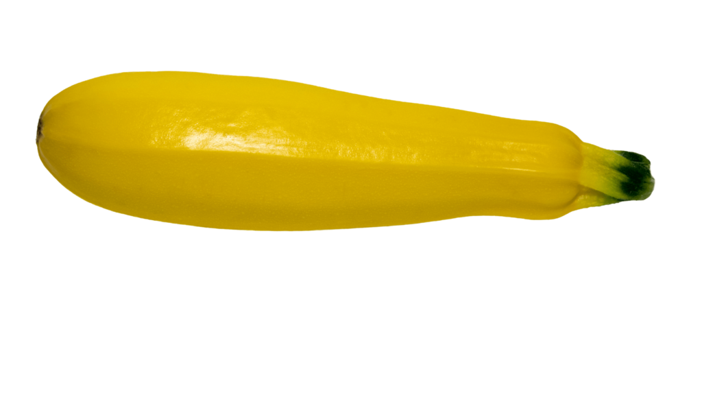 An illustrative image of yellow courgette on a white background