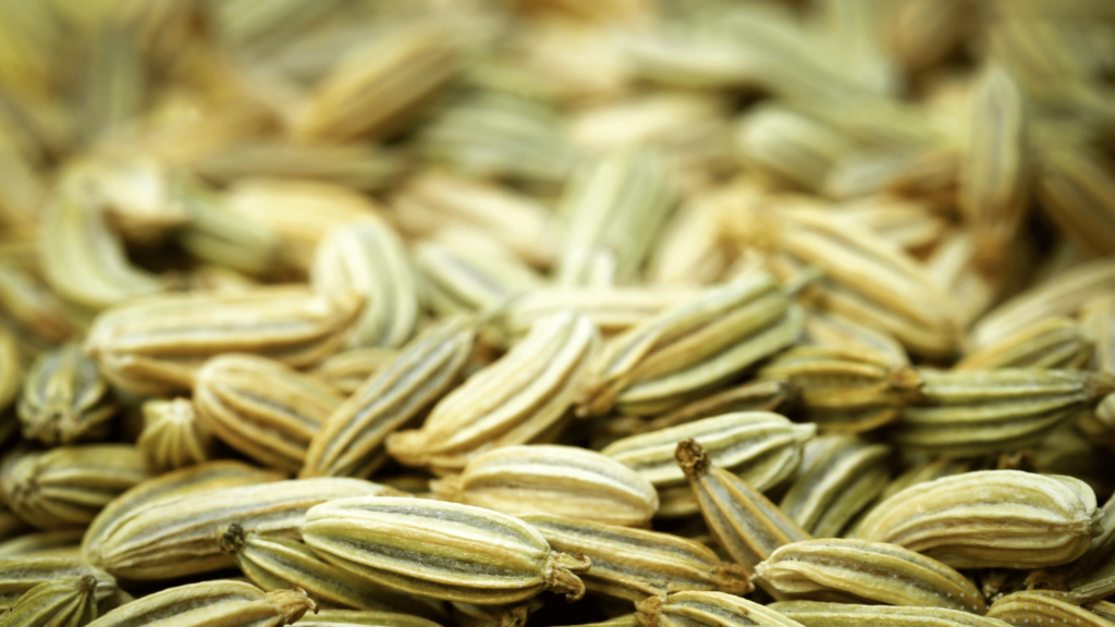 An illustrative image of fennel dried fennel seed