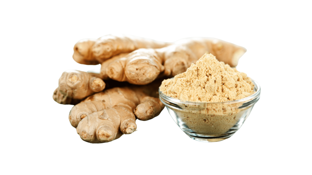 An illustrative image of whole ginger root and dry ginger powder in small glass bowl