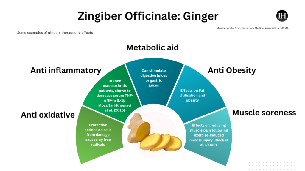 An illustrative chart with some of gingers therapeutic effects