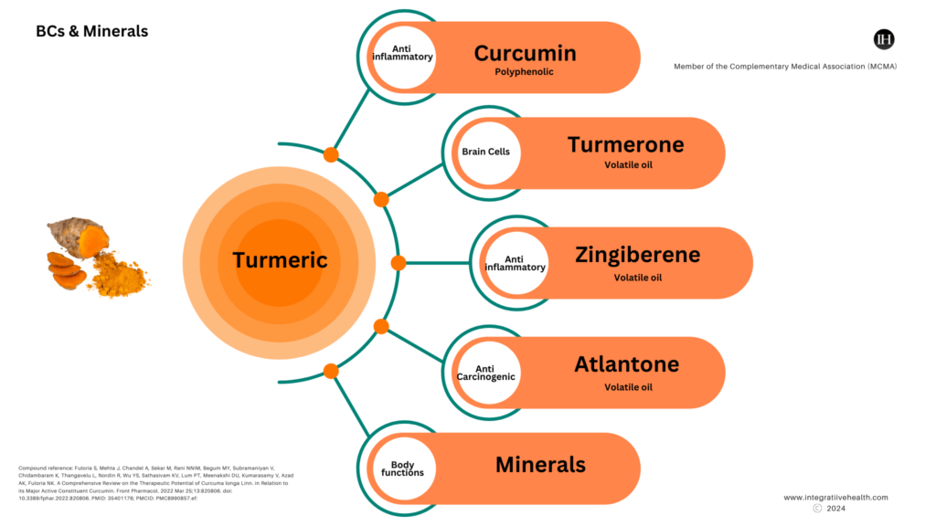 An illustrative chart depicting some of turmerics bioactive compounds minerals