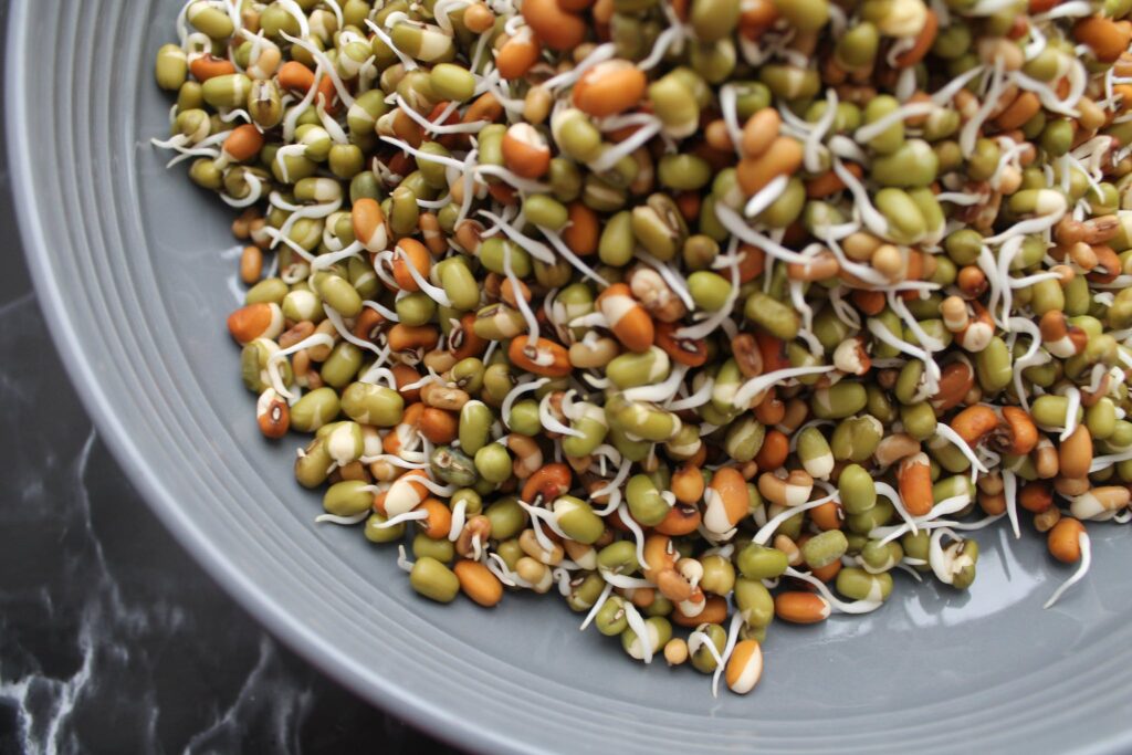 Mung bean sprouts