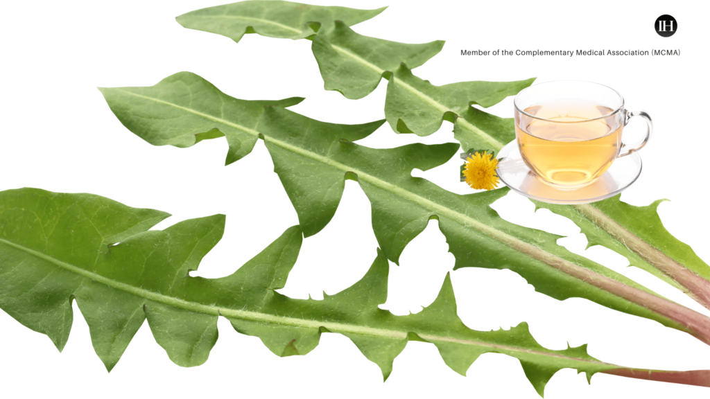 An illustrative image of fresh dandelion leaf and a glass cup and saucer with dandelion tea