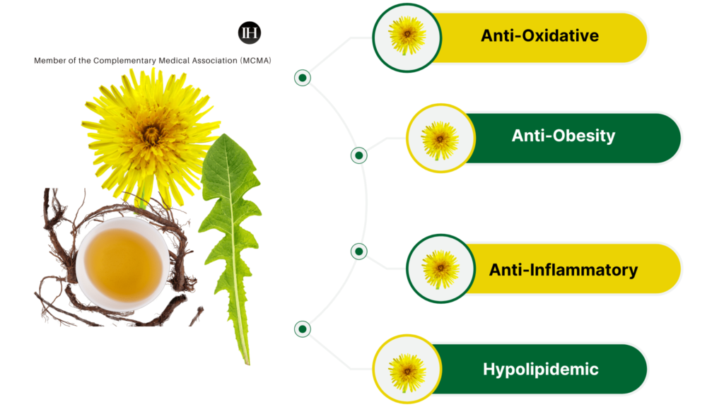 An illustrative chart of dandelions therapeutic effects