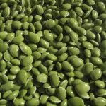 Legumes list