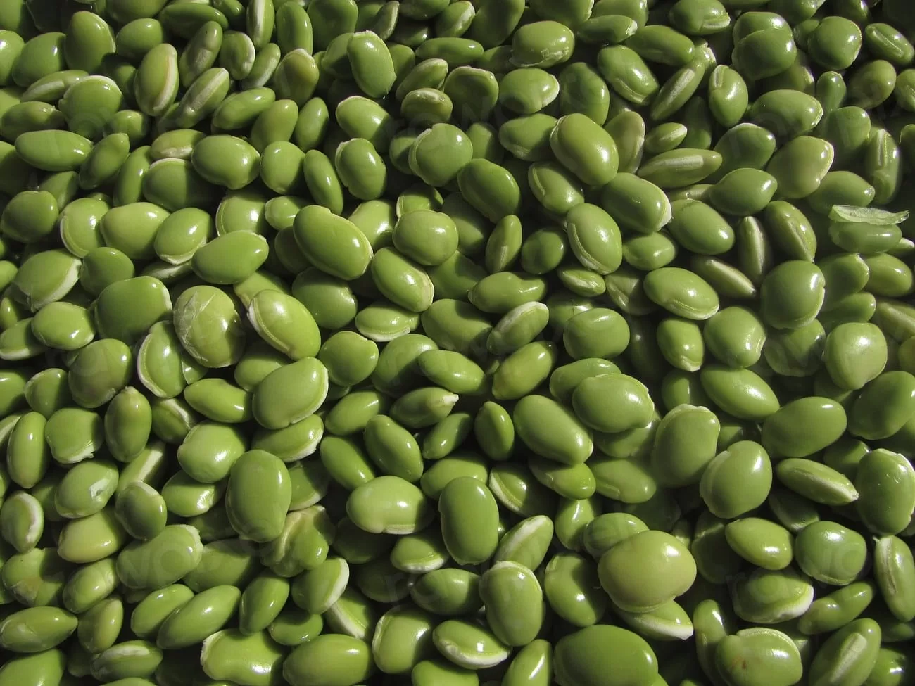 Legumes list