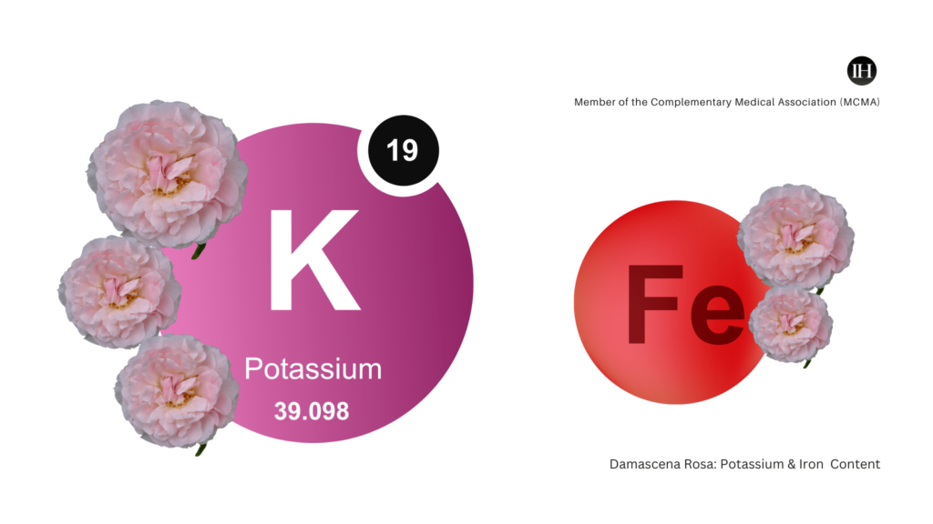 An illustrative image depicting Damascena Rosa, potassium and iron content