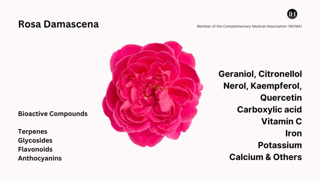 An illustrative image of Damascena Rosa bioactive compounds categories and compounds