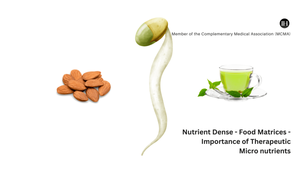 An illustrative image of nutrient-dense foods, highlighting the importance of food matrix and Vitamin E for cognitive vitality