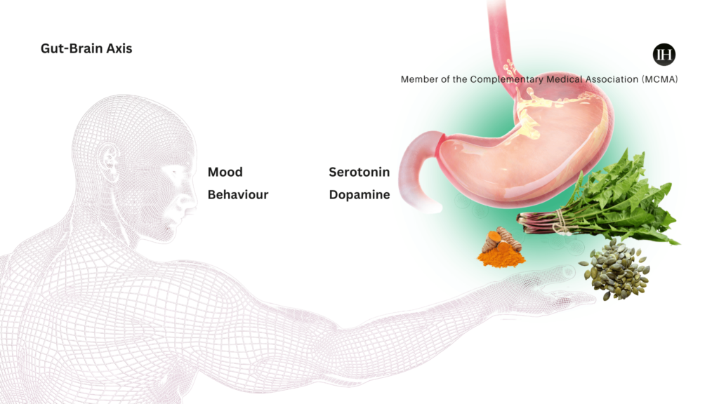 An illustrative image of serotonin and dopamine, gut-brain axis 