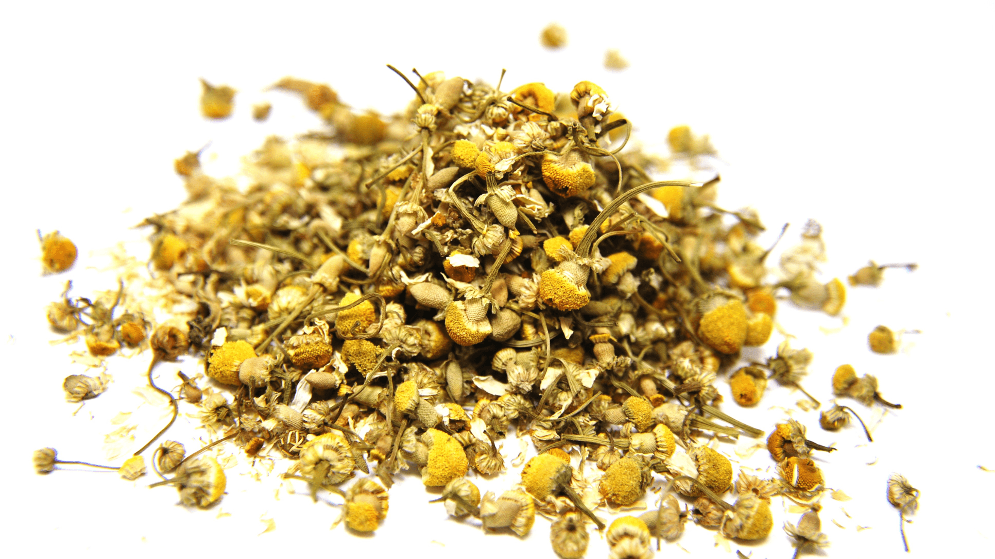 An illustrative image of dried chamomile flowers