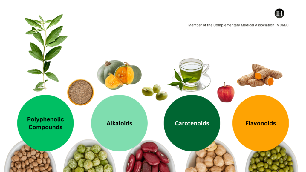 An illustrative chart depicting bioactive compound categories in plant foods 