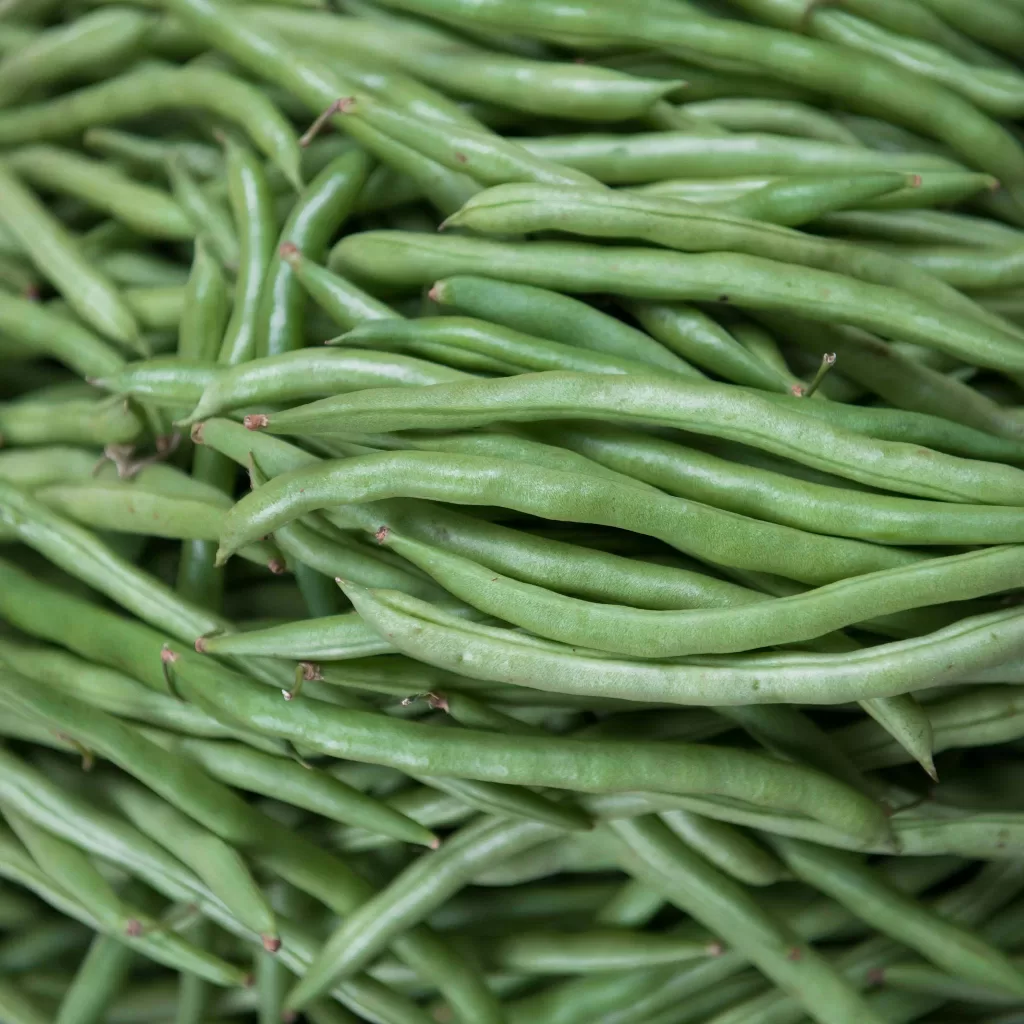 Vata dosha : green beans