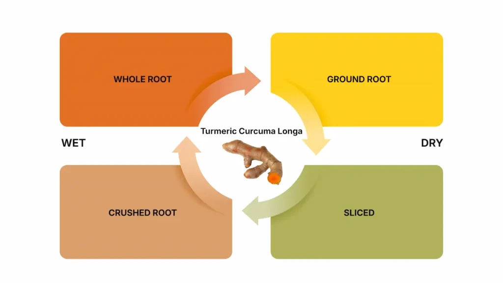 A colourful chart with the types of ways turmeric is used for herbal tea