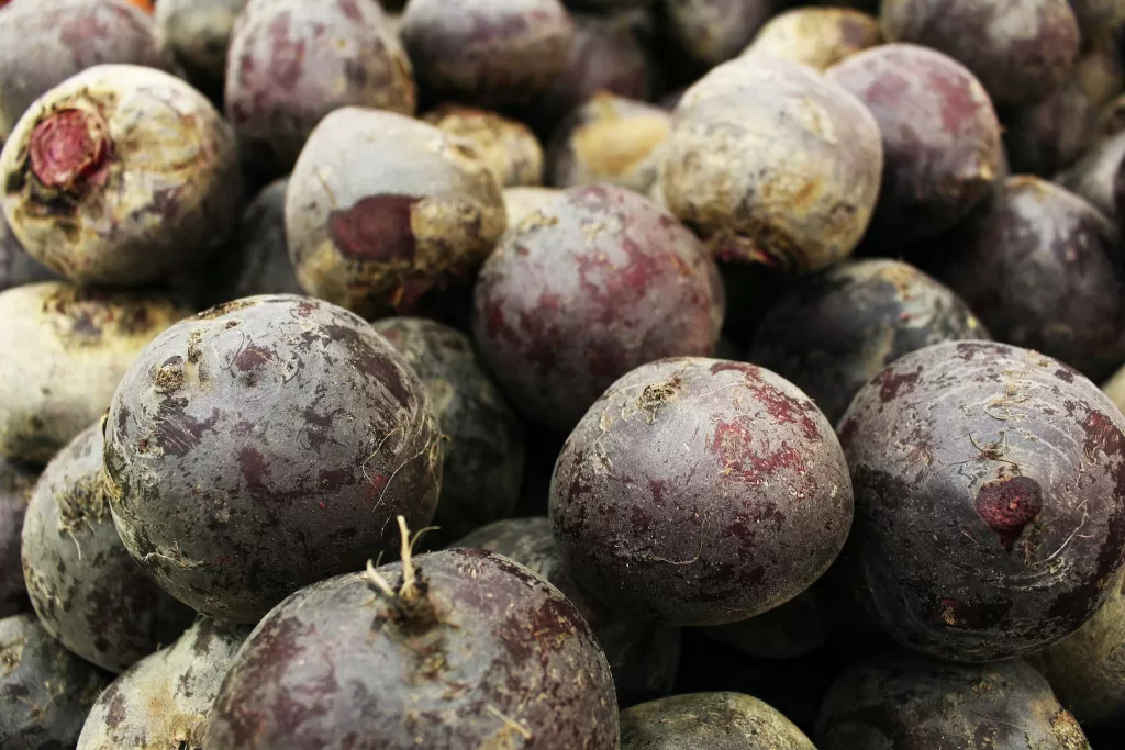 vata dosha : Purple Round Beetroots