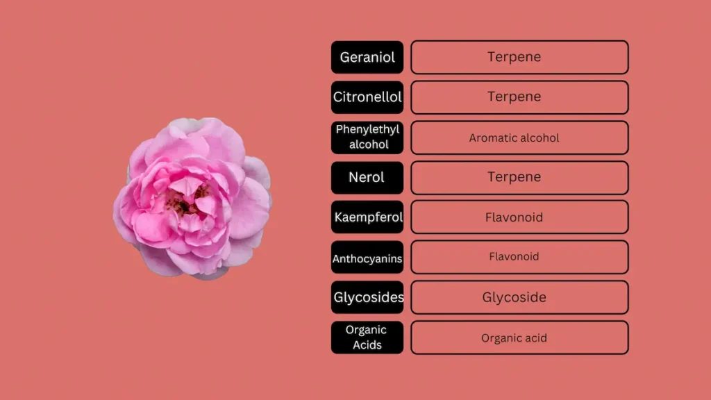 Chemical classification of Rosa Damascena compounds: geraniol, citronellol, nerol, kaempferol, anthocyanins, glycosides, and organic acids