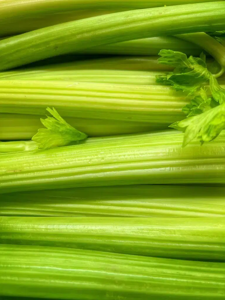 vata dosha : celery