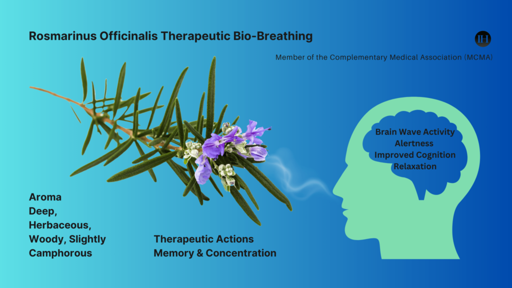 An image of rosemary, Rosmarinus officinalis, for memory and concentration and therapeutic breathing for cognitive vitality.