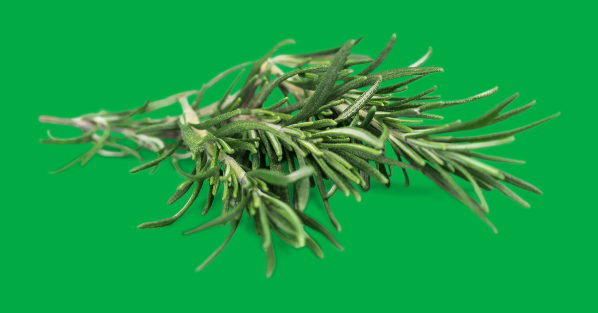 Rosemary