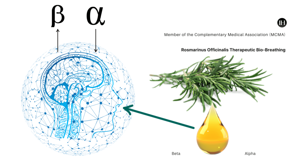 An illustrative image depicting the effects of alpha and beta rosemary oil stimulation on cognitive functions.