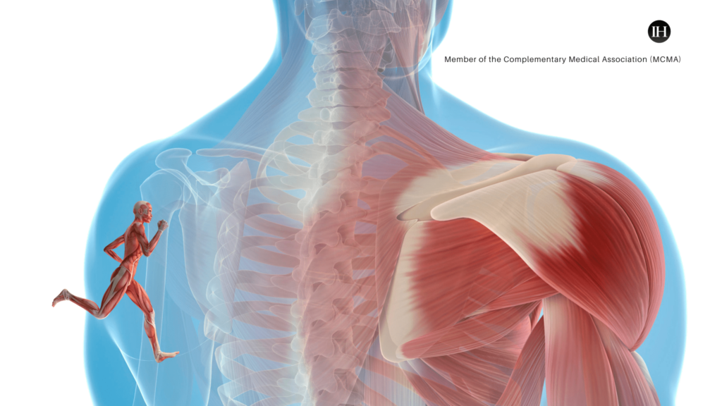 An illustrative 3D image of close-up male back muscles with a small 3D figure demonstrating running pose in the bottom left corner.