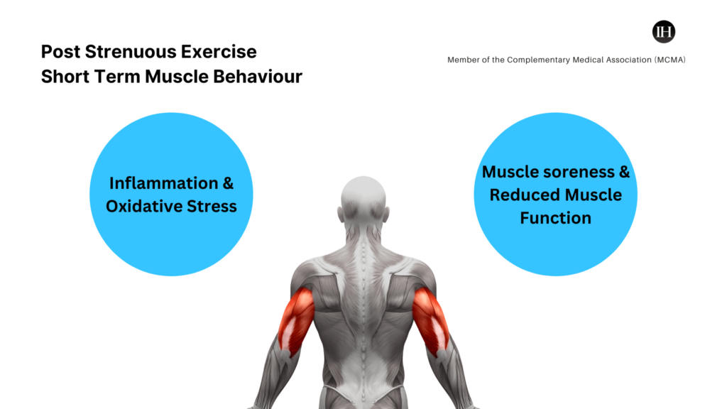 This is an image of a male 3D model displaying muscle behaviour after a strenuous exercise, with labelled points on both sides of the figure.