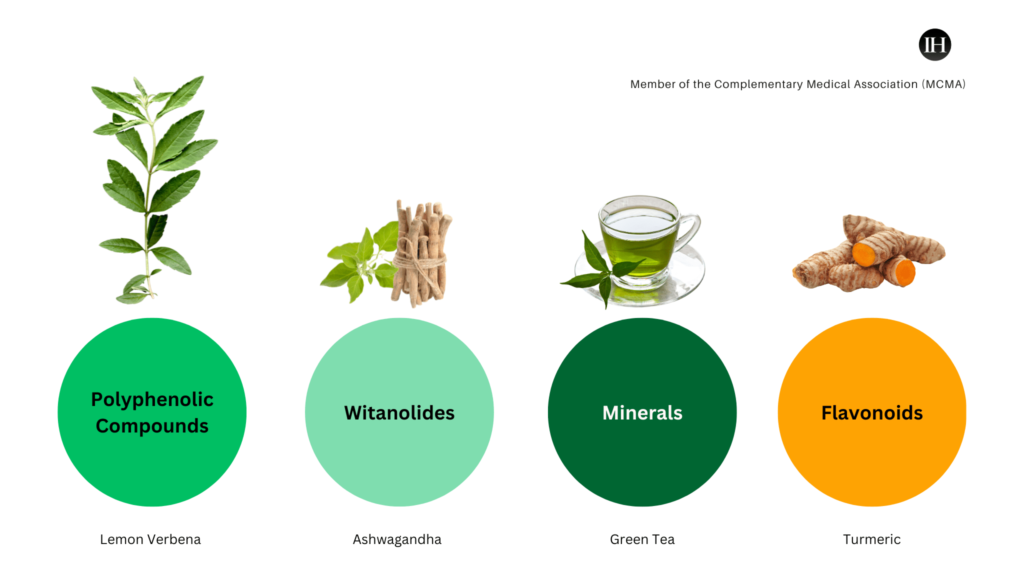 An illustrative chart depicting bioactive compound names and plants, lemon verbena, turmeric, green tea, ashwagandha 