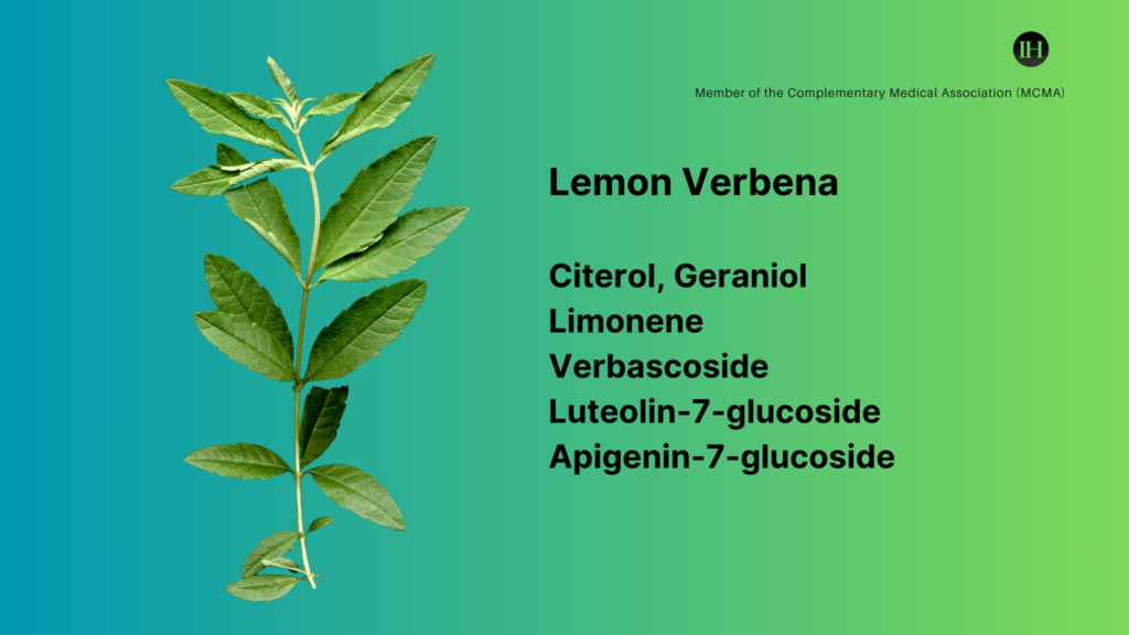 An illustrative image of a lemon verbena plant and its bioactive compounds