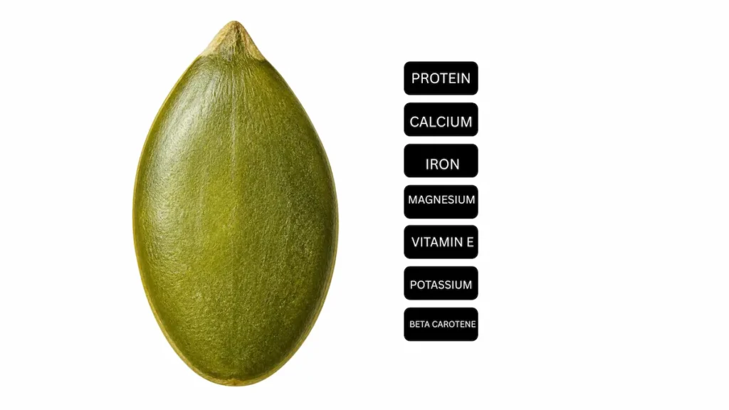 Single hulled pumpkin seed beside a list of its key nutrients: protein, calcium, iron, magnesium, vitamin E, potassium, and beta carotene in flesh