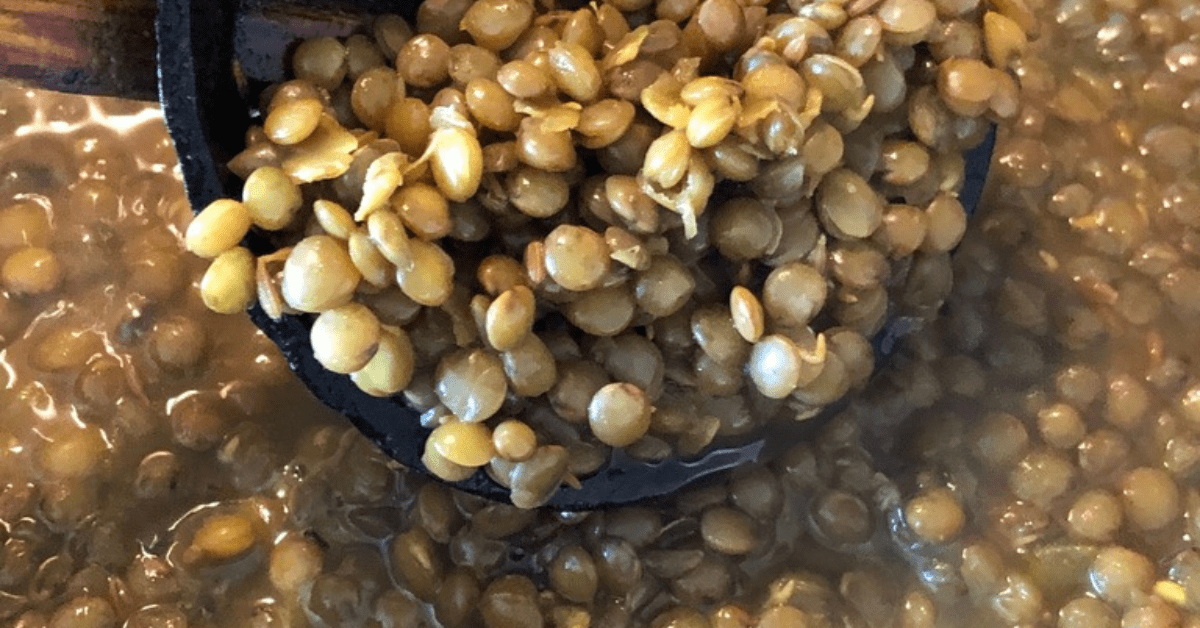 Ayurvedic Khichdi: Organic Lentils