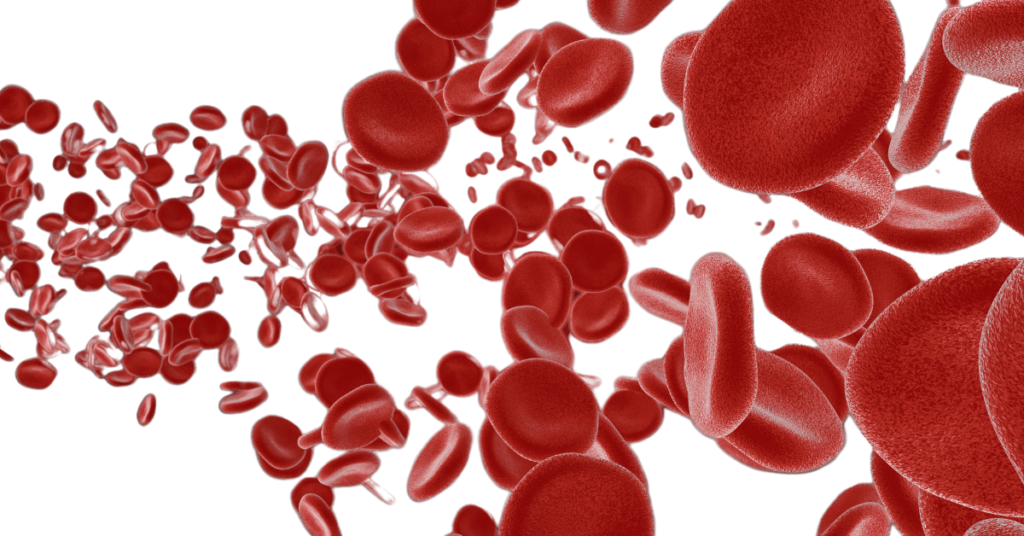 Illustrative image: biofeedback, 3D generated red blood cells 