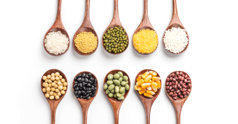 An illustrative image showing a variety of legumes and pulses placed on individual wooden spoons