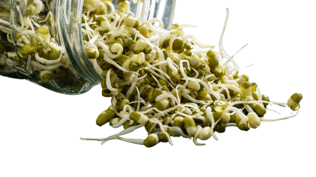 An illustrative image of sprouted mung bean spilling from a glass jar on white surface