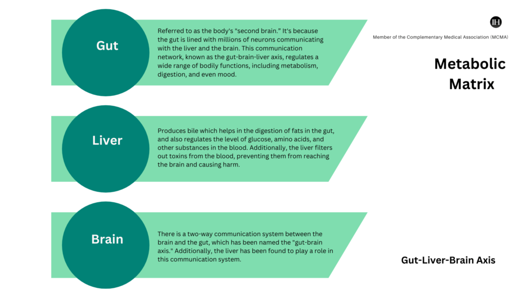An illustrative chart depicting gut, liver, brain axis - metabolic matrix