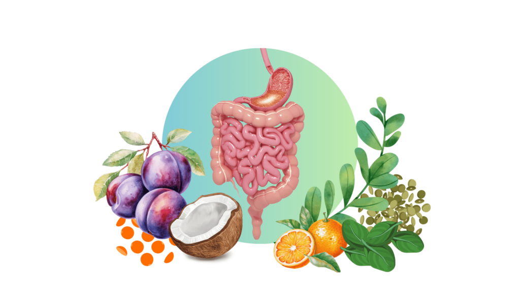 An illustrative image of healthy metabolic organs, with illustrative whole foods 