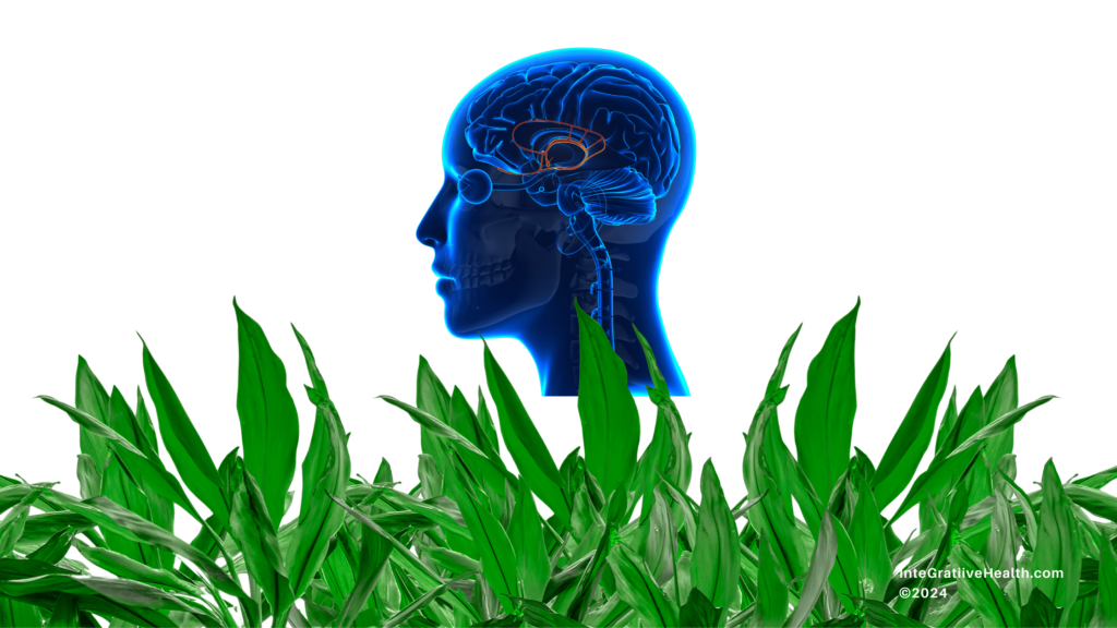 An illustrative image of a female 3D head in blue with green grass on a white background, depicting balance and clarity.