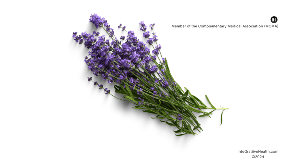 An illustrative image of lavender plant on white background