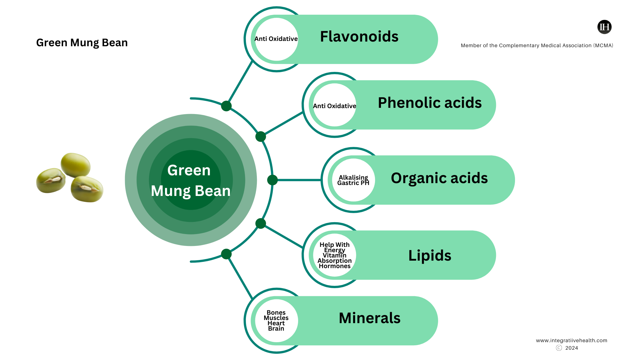 An illustrative image of green mung bean bioactive compounds