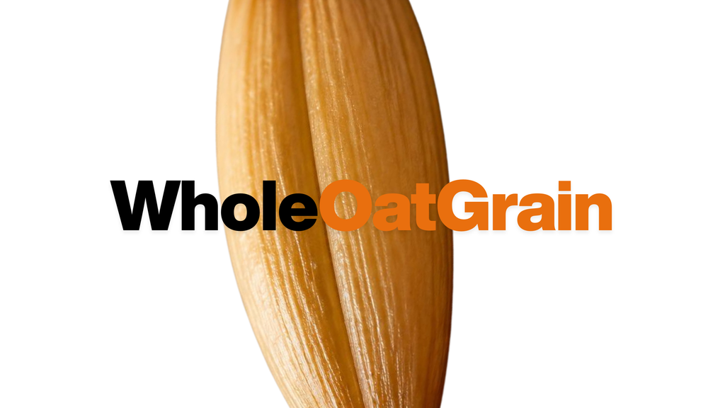 Close-up of a single whole oat grain with text reading Whole Oat Grain