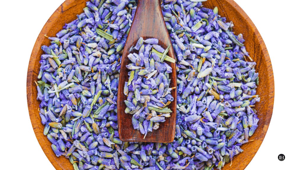 An illustrative image of a bowl of dried lavender buds with a spoon full."