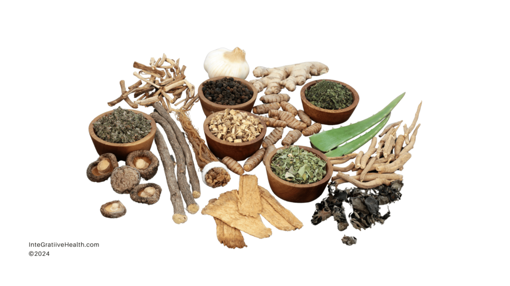 An illustrative image featuring a variety of adaptogenic herbs and plants for the nervous system and brain.