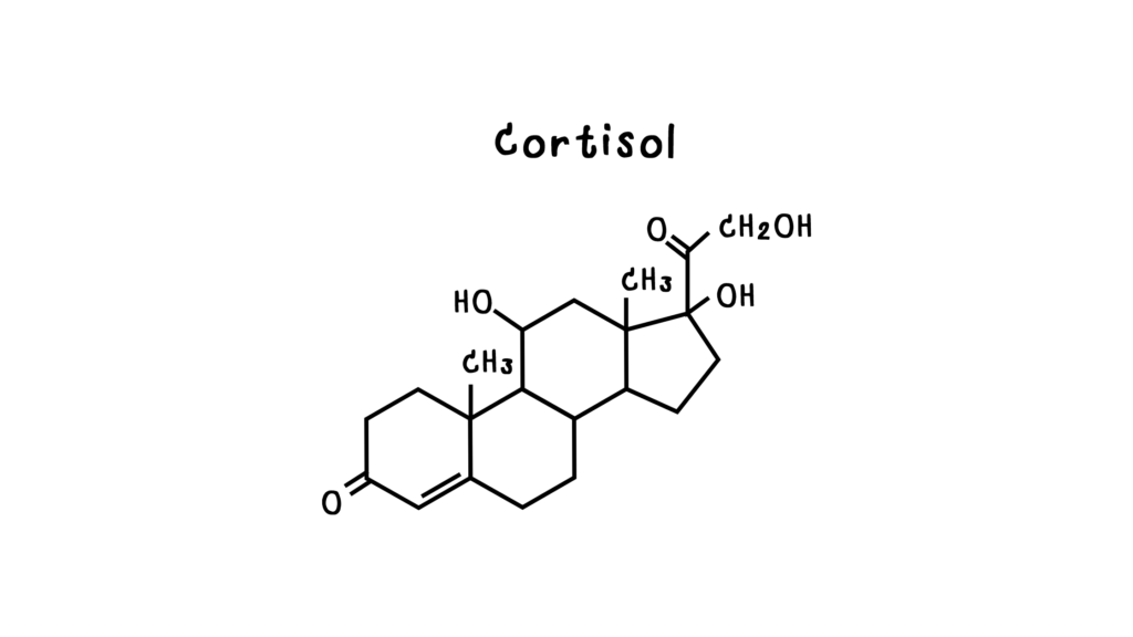 An illustrative image of cortisol chemical structure and composition