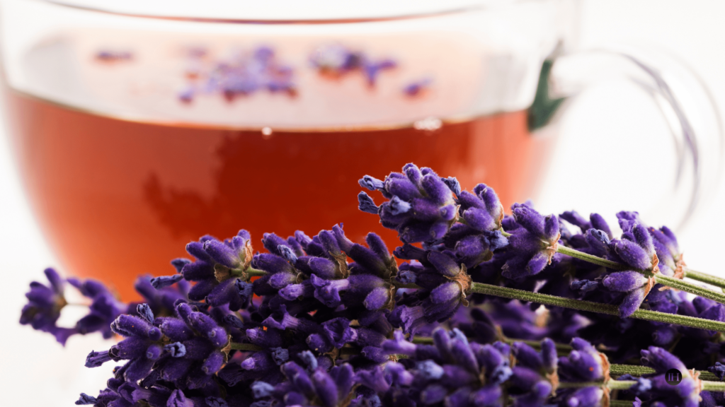 An illustrative image of lavender tea and lavender plant on a white background